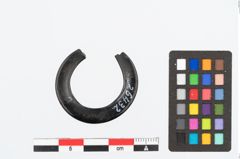 Foto von Gagatring (NHMW-PRAE-026432)